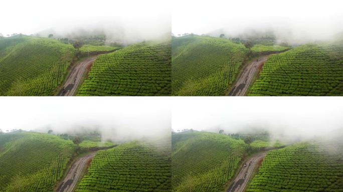 印度尼西亚西爪哇省万隆摄政区茶园雾蒙蒙的美丽鸟瞰图。以4k分辨率拍摄