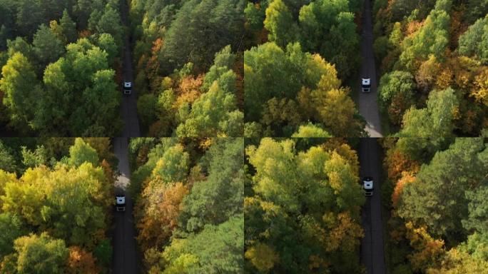 没有货物的卡车司机的鸟瞰图正在穿越风景如画的森林地区的道路上行驶。空中向前运动。树林中卡车的惊人空中