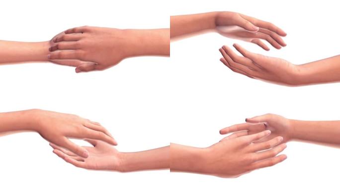 两只双手互相伸出，孤立在白色背景上。人的社会联系和心理关系的概念。3d数字动画。