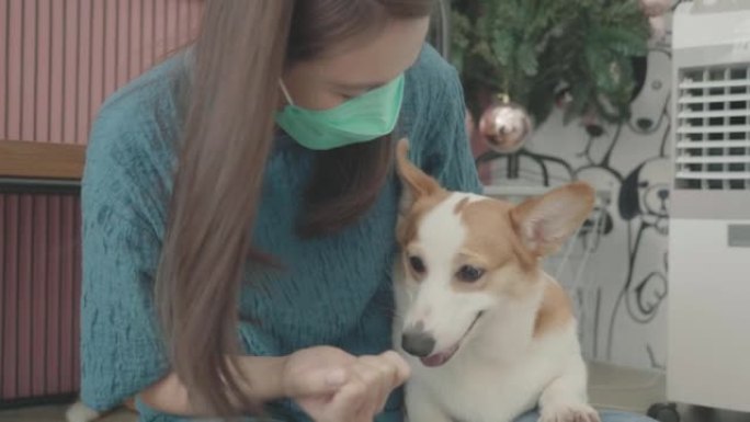 亚洲女子在室内玩她的柯基犬