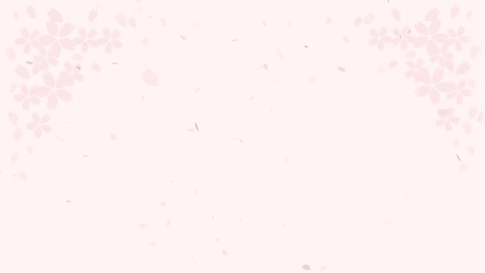 这是一个背景动画视频的樱花暴风雪。