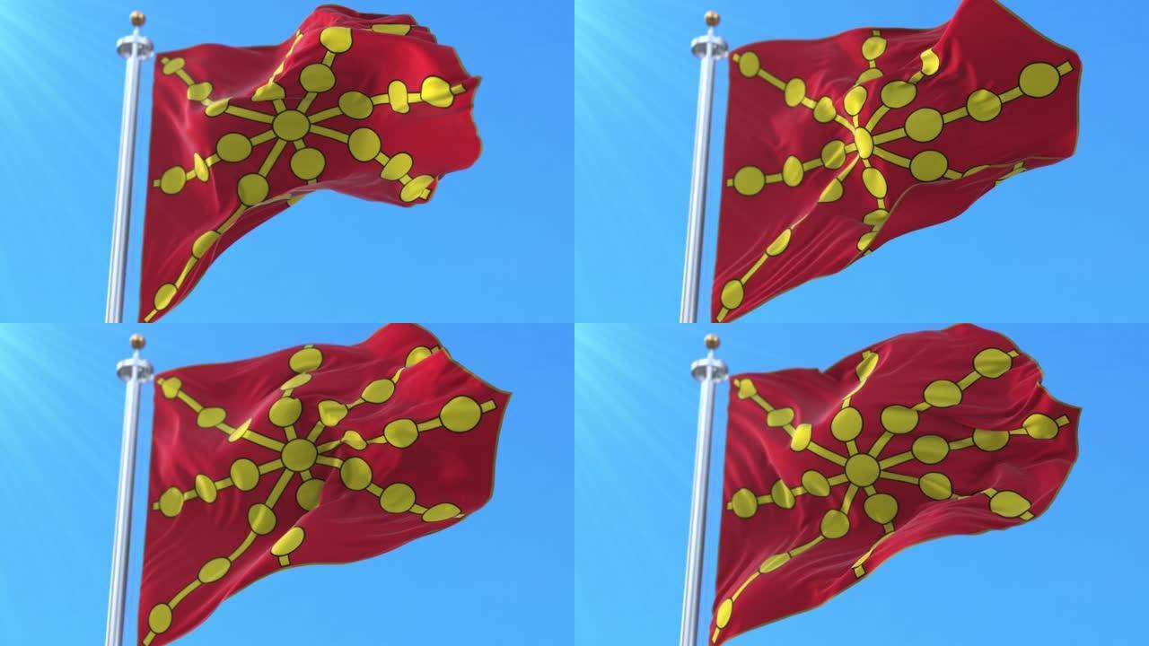西班牙纳瓦拉皇家旗帜。循环