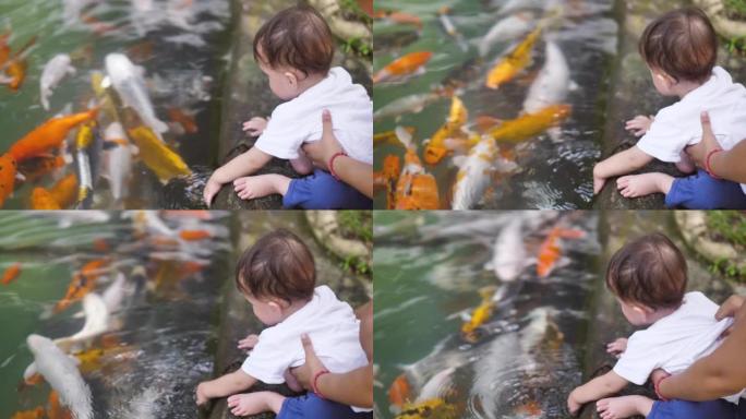 特写镜头显示了一个有鱼的池塘。双鱼座很漂亮，有不同的颜色。一个9-10个月大的孩子坐在池塘边看鱼。妈