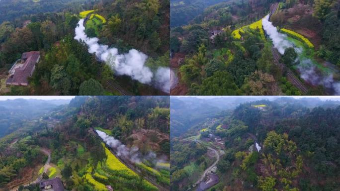 大山里的蒸汽小火车
