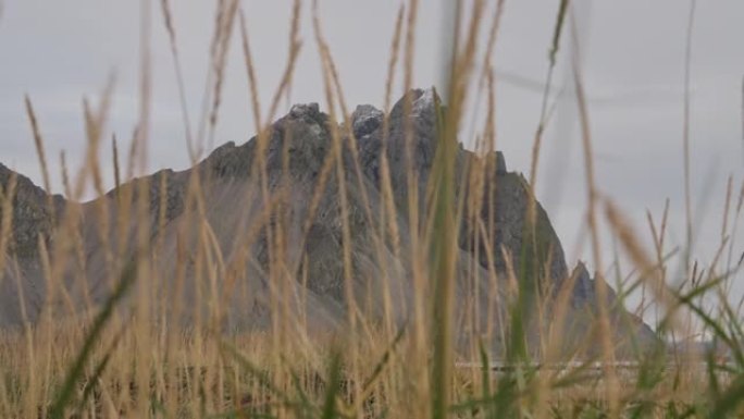 维斯特拉霍恩山，有移动的海滩草