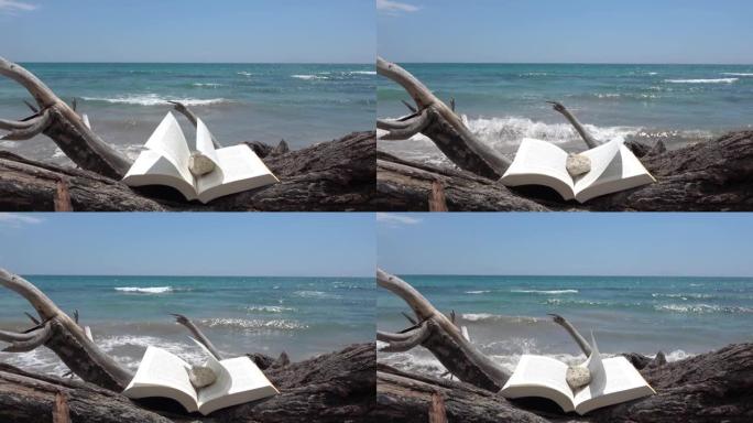 在夏天的海滩上，在树干上随风飘扬的书。镜头