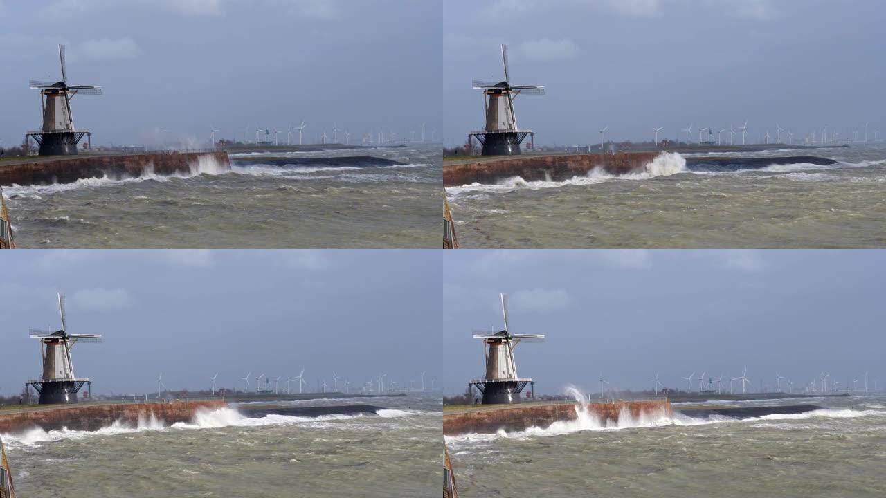 荷兰与大海作战。