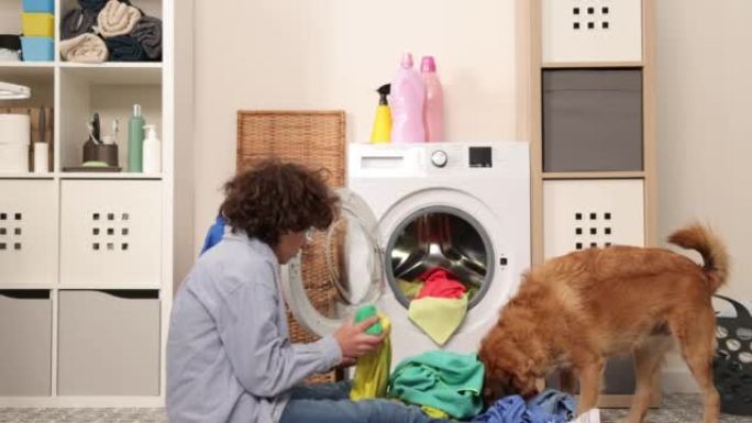 家务。男孩在家洗衣服，把衣服装进洗衣机，和狗一起玩