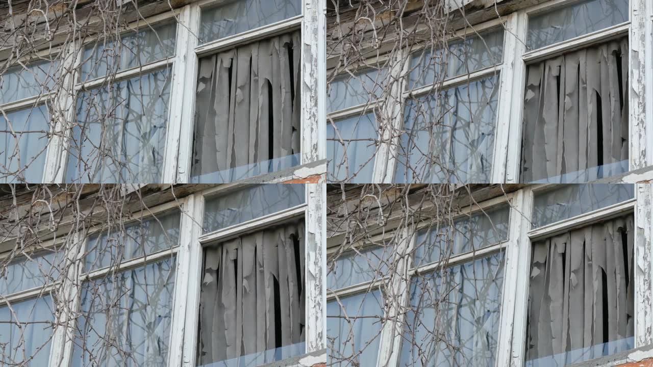 废弃的旧窗户有树枝和破烂的窗帘