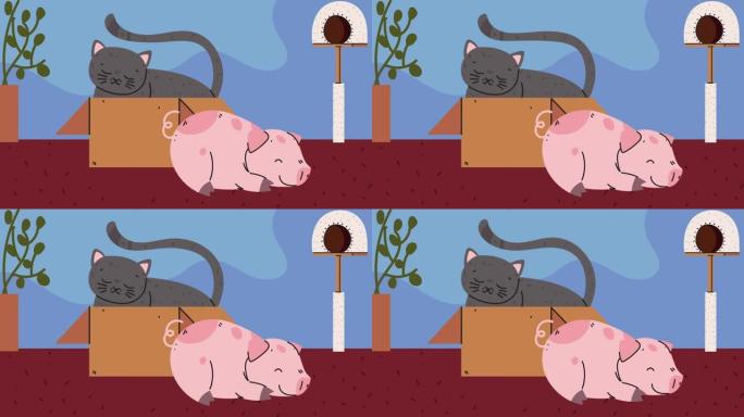 猪和猫吉祥物动画