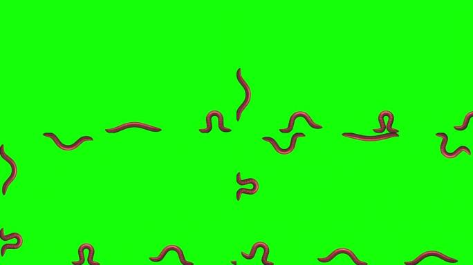绿色蠕虫，3D动画
