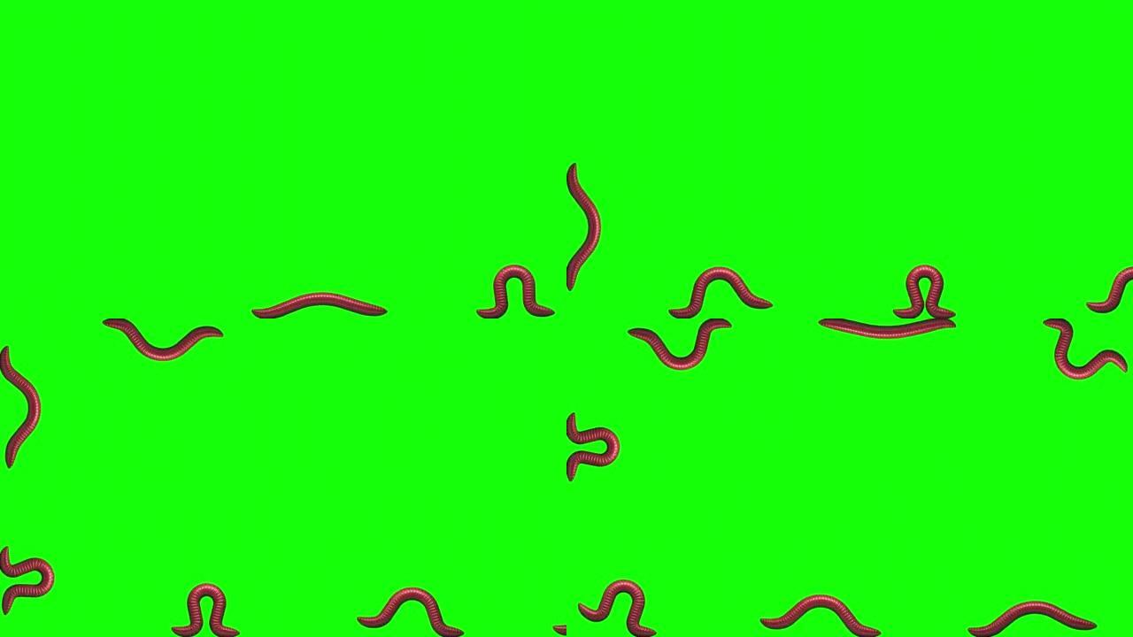 绿色蠕虫，3D动画