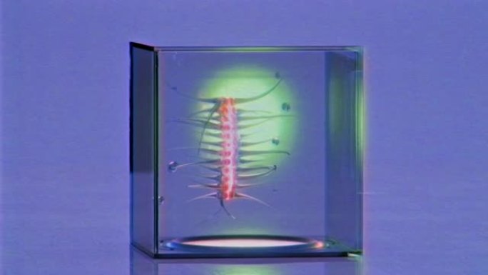 玻璃立方体循环3D渲染动画中的科幻幼虫