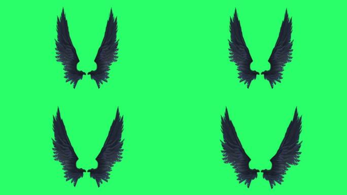 动画黑色翅膀隔离在绿色背景。