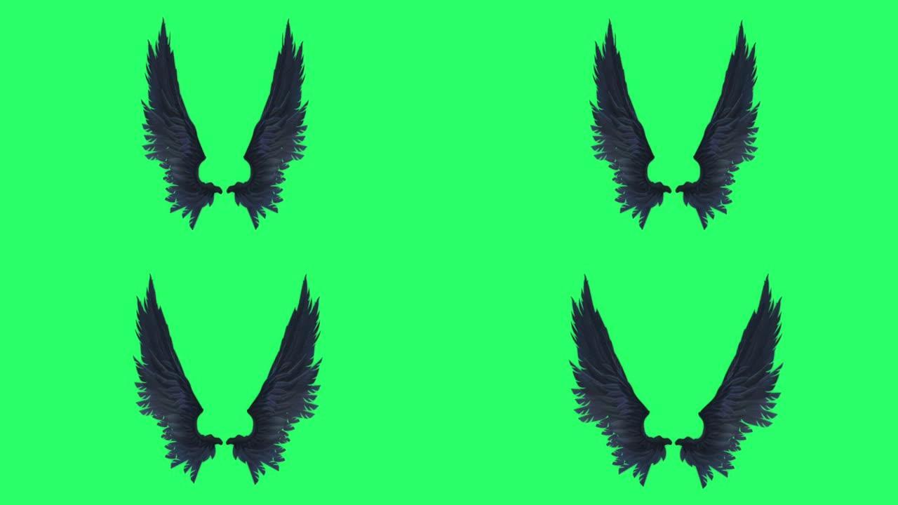 动画黑色翅膀隔离在绿色背景。