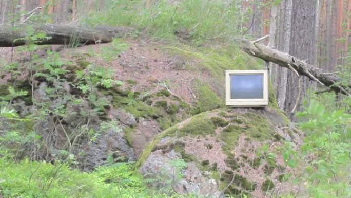 无处不在的计算机。旧的监视器风暴被扔进了松树林