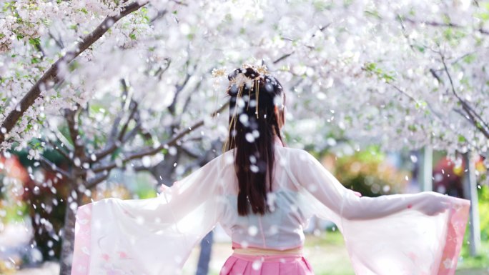 樱花 古风少女