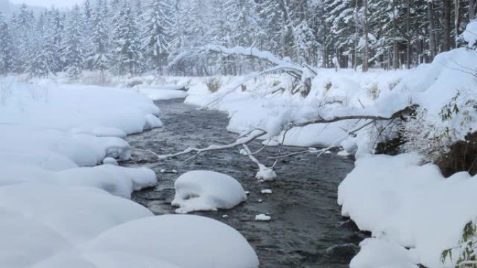 雪落北海道森林溪冬天大雪积雪白雪溪流溪水