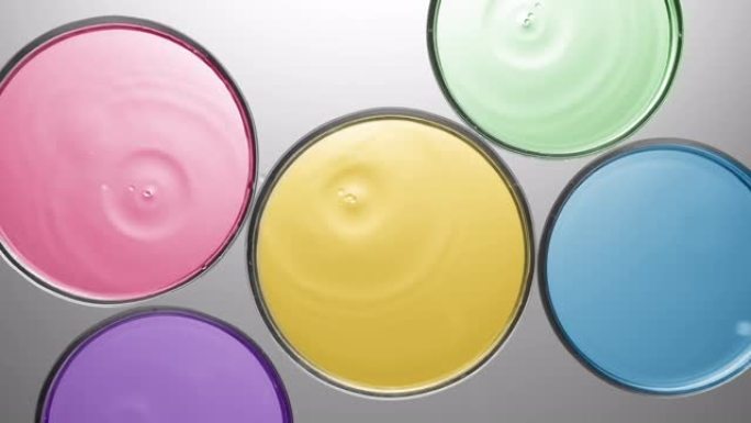 滴落在带有彩色液体的多个培养皿中