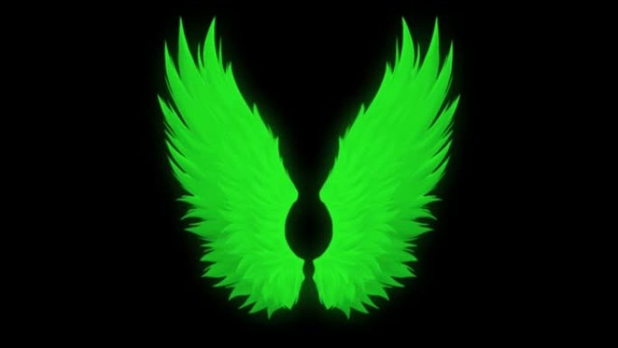 绿色背景上的动画绿色翅膀隔离。