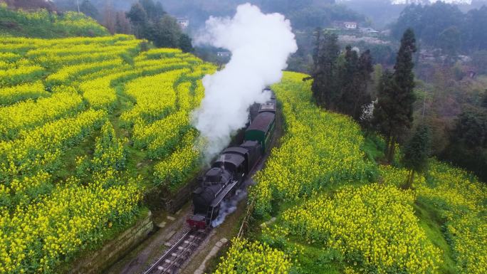 小火车穿越花海段家湾