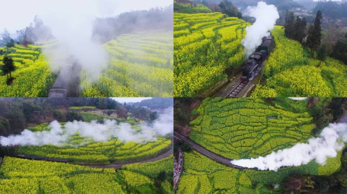 小火车穿越花海段家湾