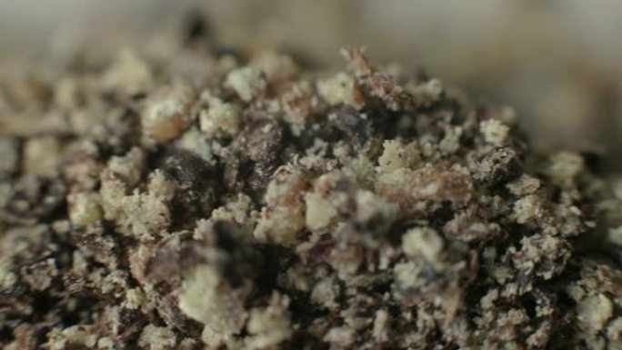 黑胡椒粉的宏观细节