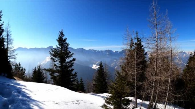 奥地利卡林西亚卡拉万克斯雪山山峰弗赖贝格的风景。山谷的泽尔普法尔山村。穿过森林查看Wertatsch