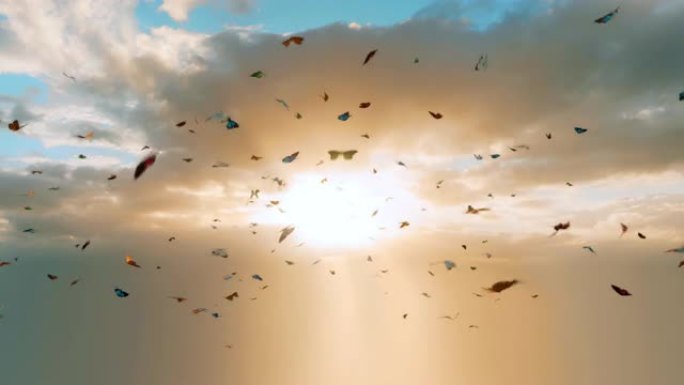 万花筒的五彩蝴蝶在天堂的阳光下飞翔
