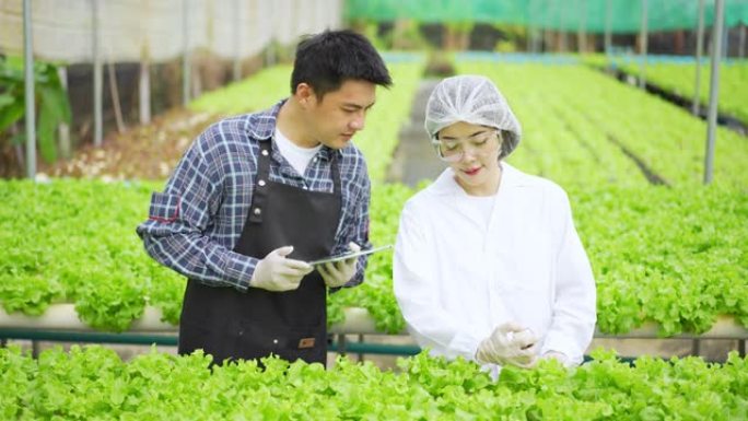 亚洲女性科学家和亚洲男性农民共同努力，在温室实验中检查水培植物中的有机蔬菜实验结果。