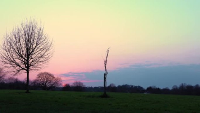 日落时，伦敦东肯特郡Swonly早春天然公园的全景照片。哈皮一家人在公园散步。Narure，旅行概念