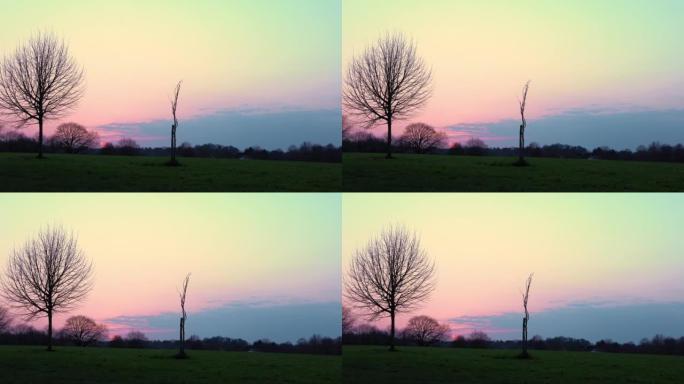 日落时，伦敦东肯特郡Swonly早春天然公园的全景照片。哈皮一家人在公园散步。Narure，旅行概念