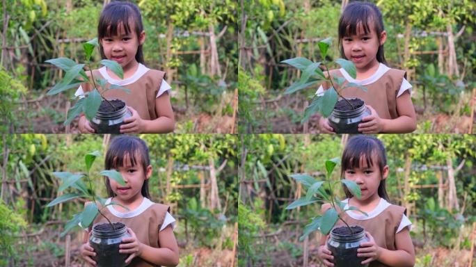 春天，可爱的小女孩在模糊的绿色背景上，在回收锅里拿着一棵小树。地球日生态概念