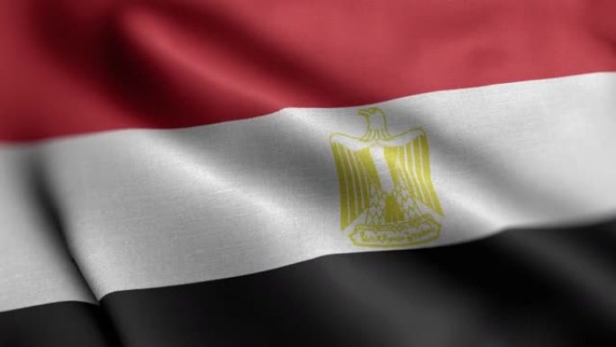埃及国旗-埃及国旗高细节-国旗埃及波浪图案可循环元素-高分辨率和高细节织物纹理和无尽循环股票视频