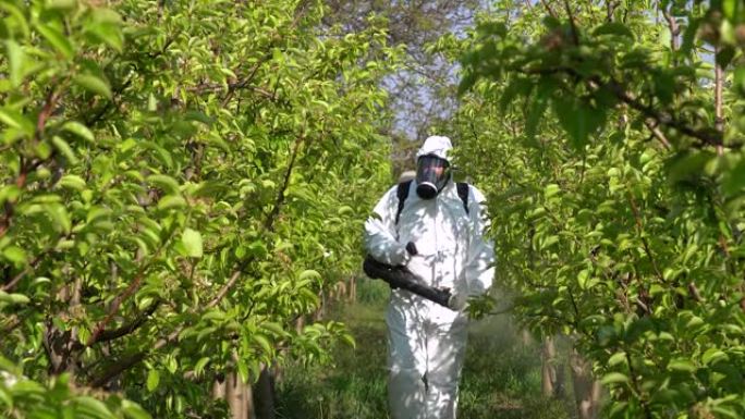 春季带防毒面具喷洒果园防护服的果农 -- 放大