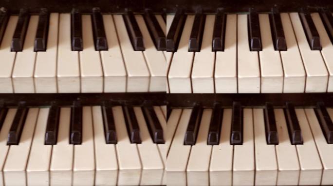 闪亮的黑白旧钢琴琴键特写，金色黄铜边缘反射，景深浅。