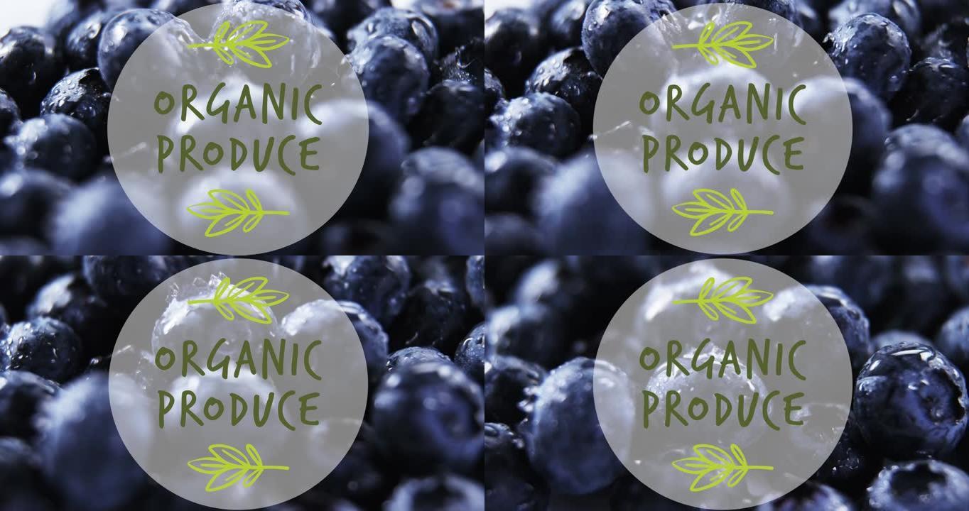 有机农产品文本在湿蓝莓上的动画