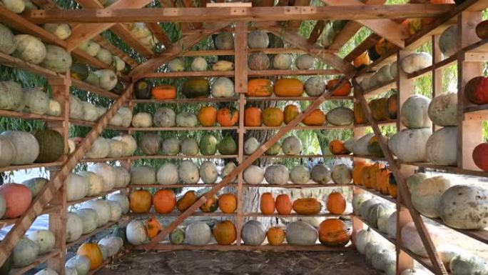 农场用南瓜制成的木屋