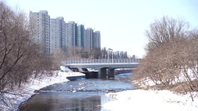 冬季的河桥城市