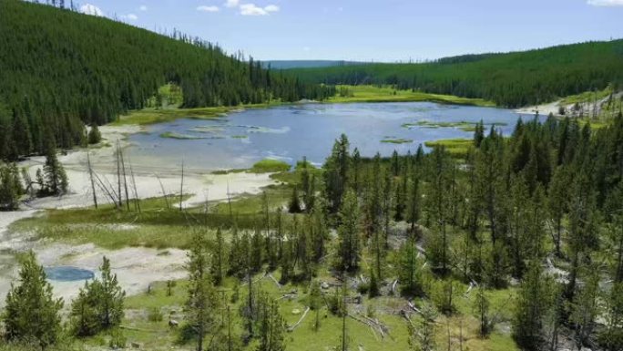 美国蒙大拿州黄石国家公园，2021年7月。从被草，森林和幸存树木包围的漂白化学涂层盆中退缩的热地表水