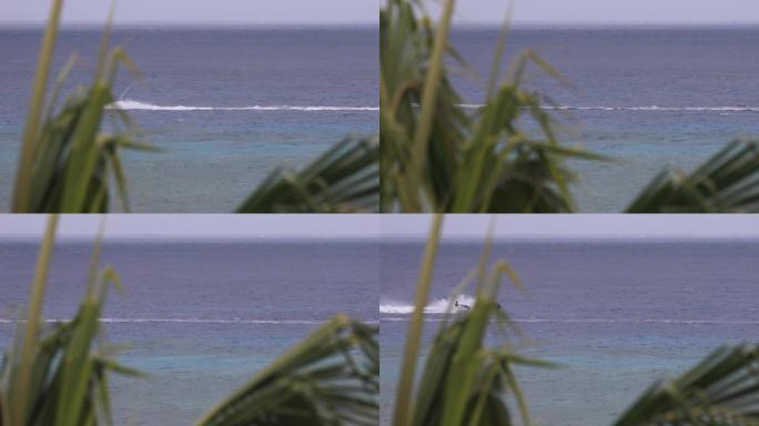 棕榈树以外的水中的波浪奔跑者