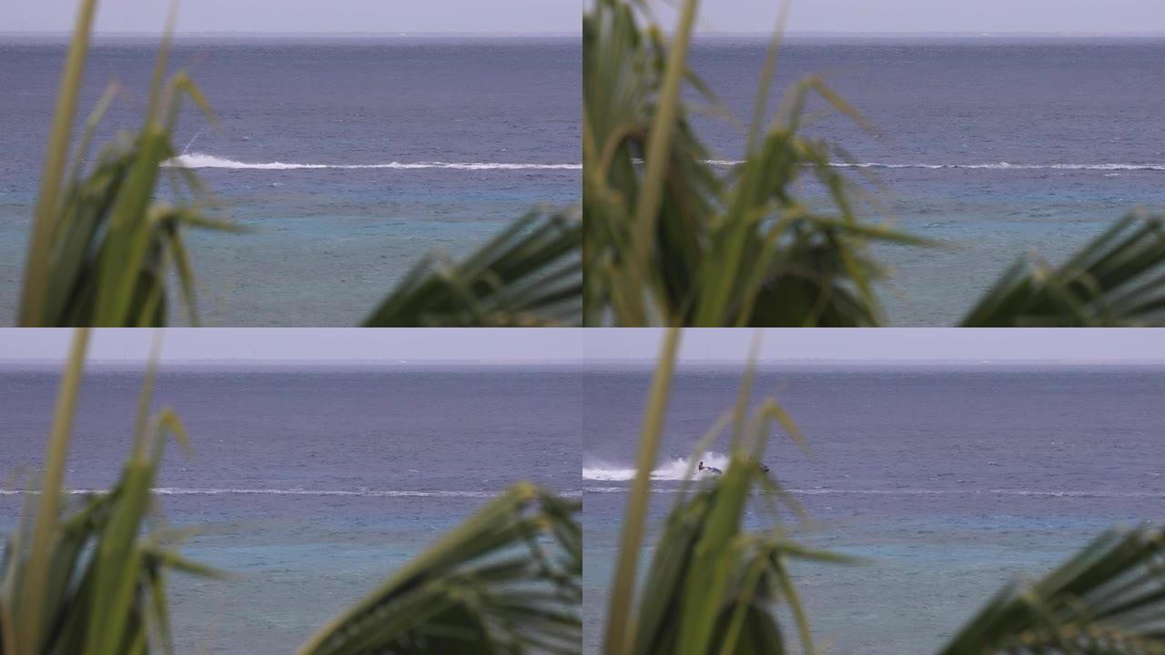 棕榈树以外的水中的波浪奔跑者