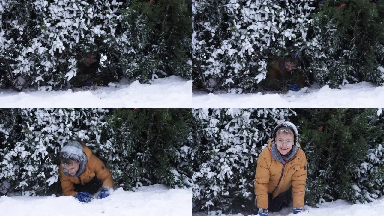 小男孩在冬天挤过树篱