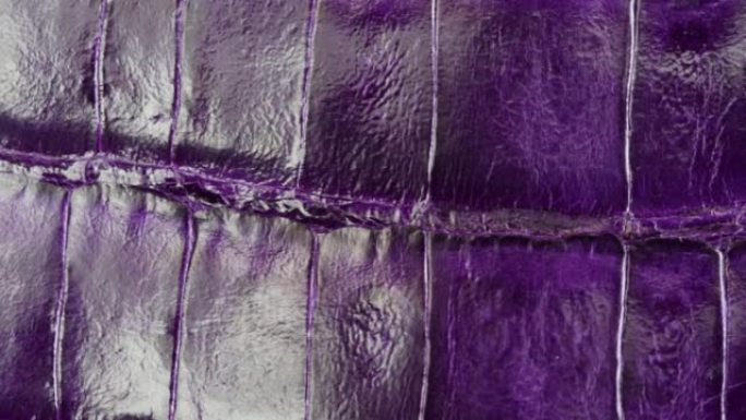 紫色蛇皮特写，制作手工配件，由正品或人造动物蟒皮制成。在工作场所隐藏材料，质量控制。