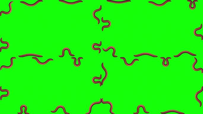 蠕虫在绿色，循环3D动画