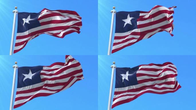 美国德克萨斯海军的海军军旗。循环