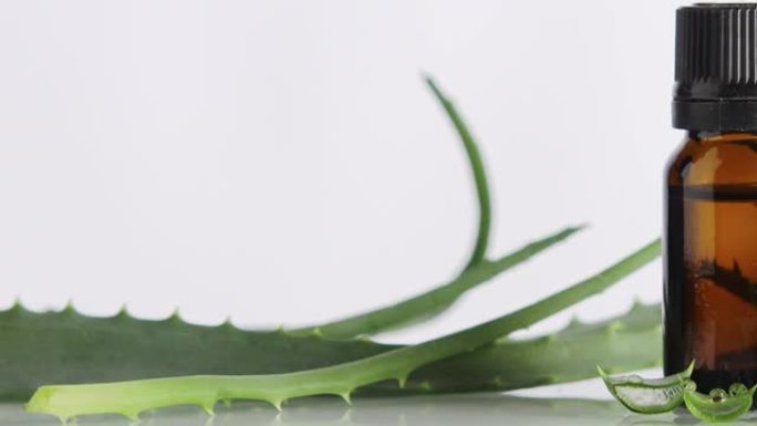 绿色芦荟叶子与化妆瓶精油在白色背景选择性聚焦。
