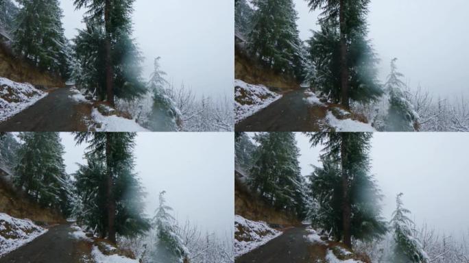 冬季，印度喜马al尔邦马纳利 (Manali) 的道路旁的松树前降雪的慢动作镜头。喜马偕尔地区冬季降