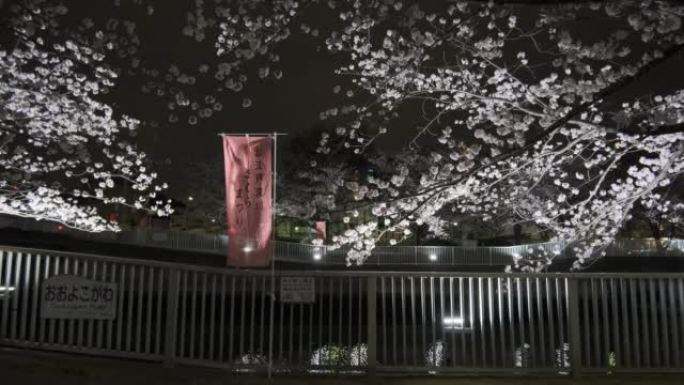 东京Monzennakacho樱花之夜2022