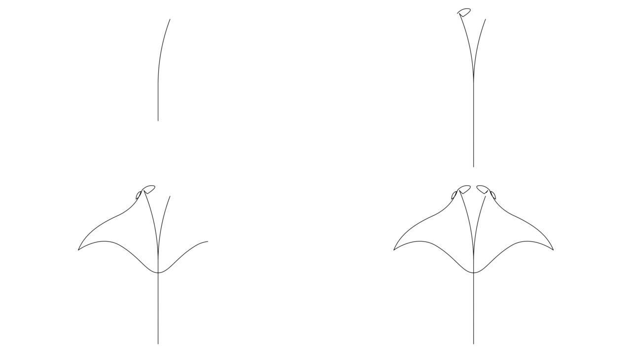 自画单线连续单线的简单动画。手工绘制，白底黑线